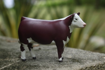 stuffed hereford cow