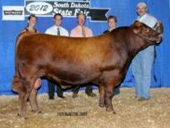 Cassie Johnson, Solution Genetics | Iowa