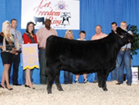 Charlie Boyd II, Boyd Beef Cattle