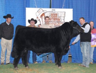 Colby Cummings, No Limit Cattle Co. | Arkansas