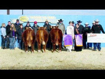 Kyle Colyer, Colyer Herefords | Idaho