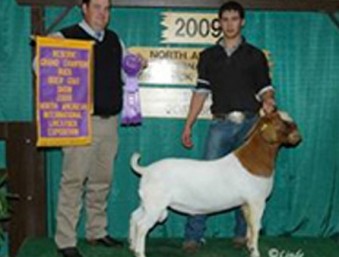 Kirk Perry, K&D Boer Goats | Texas