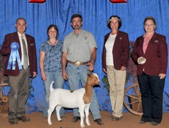 Mark and Debbie Anderson, F&H Ranch | Tennessee