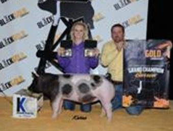 2014 Black and Gold Classic Grand Champion Market Barrow Day 1 Rilee Dunn | Texas