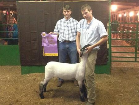 2013-FultonCoPAFair_ResChampMktLamb_BrockHohman