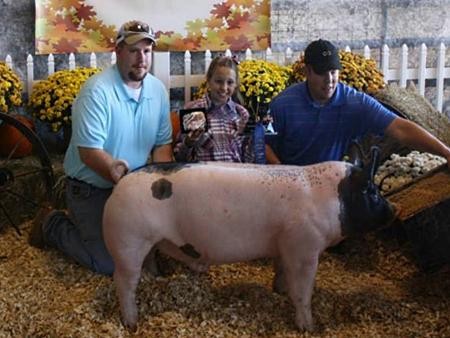 2013-hvsfestlivestockshow_rgc_tomicapps