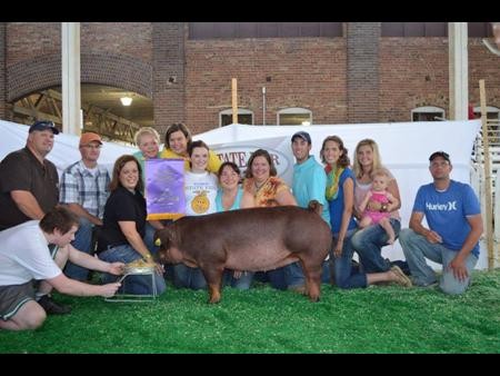 2013-ia-stfair_gcpurebredbreedinggilt_elizabethjones