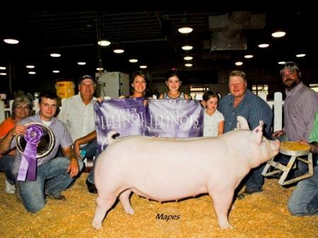 2013-ilstatefair_championoverallgilt_loganfarnham