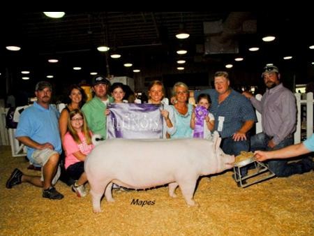 2013-ilstatefair_ressupchampgilt_maddisoncaldwell