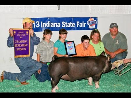 2013-in-stfair_champberkshirebarrow_tyjester