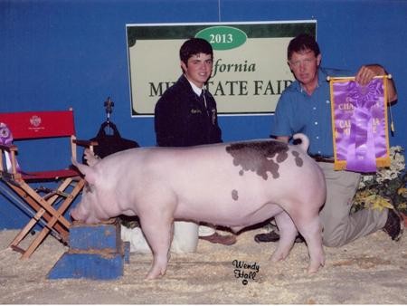 2013-midstatefair_grandchampion_alexborba