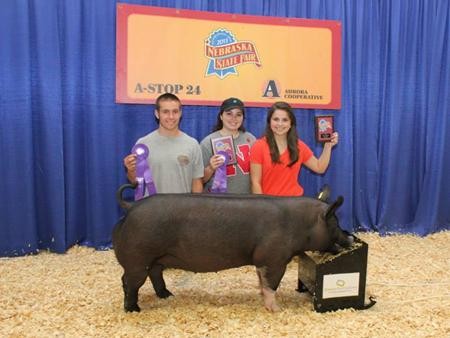 2013-nestfair_div3champgilt_ashleywallander