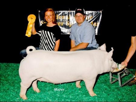 2013-njss_5thovrdiv4yorkshiregilt_maddisoncaldwell