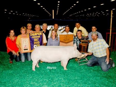 2013-njss_gc-yorkshiregilt_morgancox