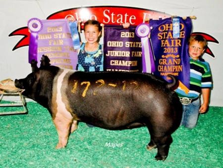 2013-oh-stfair_rsc-ovrlbreed_wendt