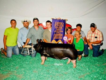 2013-ohstatefair_champberkshirebarrow_connorrayburn