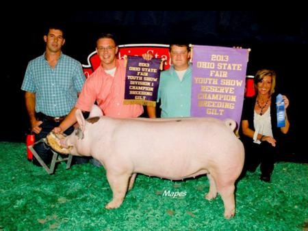 2013-ohstatefair_reschampbreedinggilt_connorrayburn