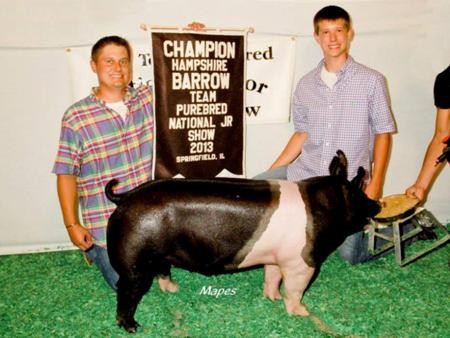 2013-teampurebredjunnat_champhampshirebarrow_bolandfamily