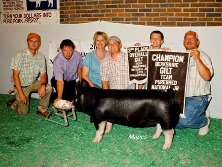 2013-tpjn_champberkshiregilt_austinboland