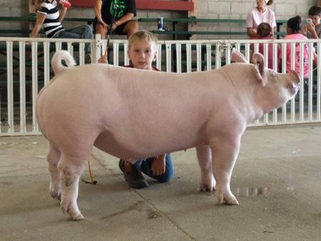 2013-walworthcofair_3rdovrlbarrow_wyattkegley