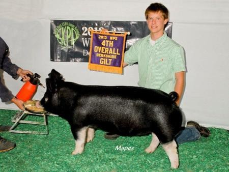 2013-wpe_4thovrberkshiregilt_austinboland