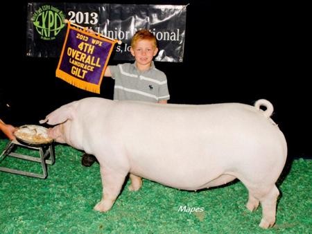 2013-wpe_4thovrlandracegilt_colecaldwell