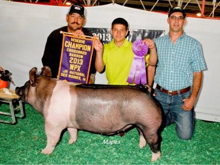 2013-wpe_reschampcrossbredbarrow_gagefullen