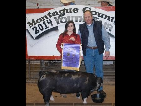 2014-montaguecofair_gcbreedinggilt_jessicavogel