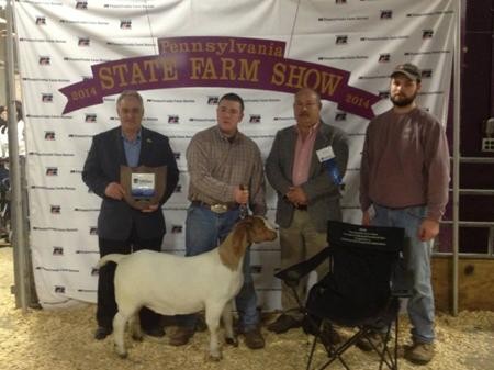 2014-pafarmshow_ovrgcfullblooddoe_tylerpeterson