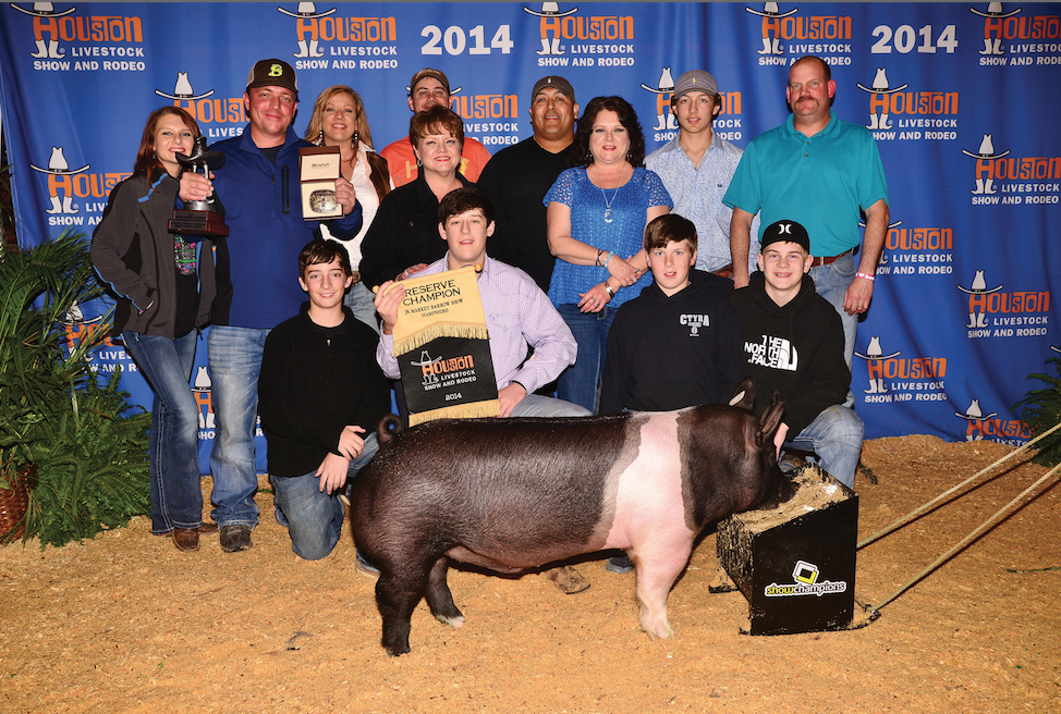 Reserve Champion Hampshire Houston