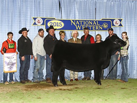 15-Reserve-Grand-Champion-Percentage-Simmental-Female