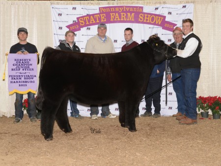 2015 Reserve Steer FS