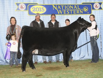 Champion-Senior-Yearling-NWSS-Female-Foundation-Simmental-Open-Show-