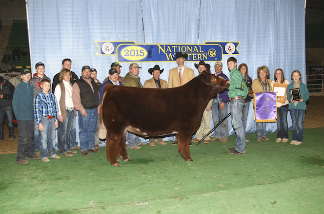 NWSS Grand Champion Steer