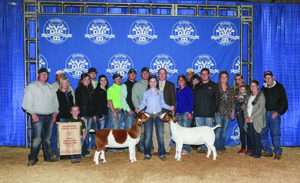 Jaeyln Sewell Grand Champion OYE