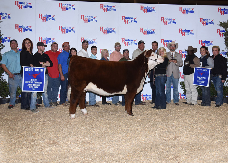 Kay Ellis Reserve Supreme Champion Junior Breeding Heifer – Star of Texas Livestock Show