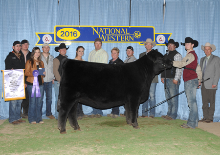 Mason Walker Reserve Champion Limousin NWSS