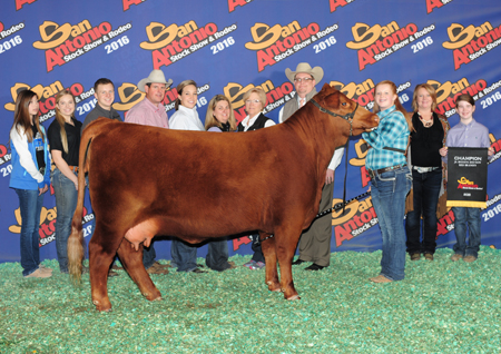 Pitchford grand champion red brangus San Antonio