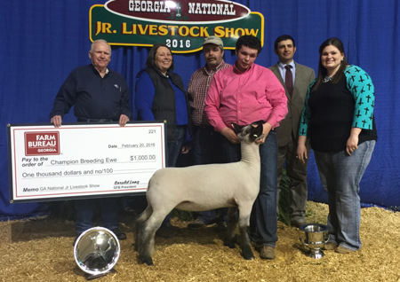 Supreme Grand Champion Breeding Ewe Georgia National