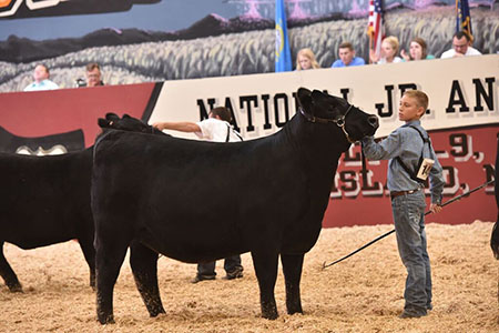 austin_grand champion owned angus