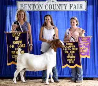 BentonCountyFair_BestinShowGrandPercentageDoe_ShyannHorwedel