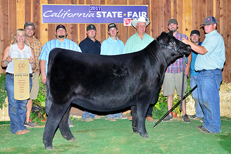 Hannah-Supreme-Champion-Open-Show-CA-State-Fair-best