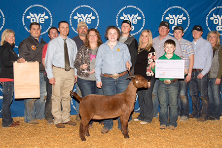 18-oye-supreme-champion-breeding-doe-kaylea-taylor