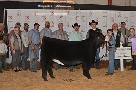 18-supreme-heifer-al-jr-beef-expo