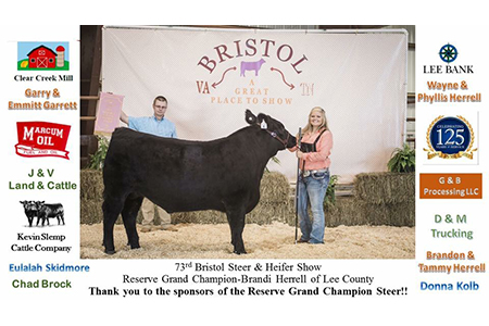 17 Bristol Steer and Heifer Show, Reserve Grand Champion, Shown by Brandi Herrell Testimonial