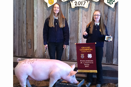 17 Schulenburg Jr Livestock Show, Grand Champ, Shown by Bailey Rolirad Test