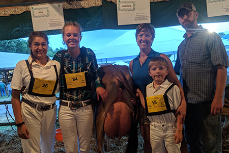 18 Shippensburg Fair, Senior and Grand Champion Holstein and Ayrshire, intermediate champion Jersey, junior champion jersey, Holstein and Guernsey, Shown by Amy Brickner Test