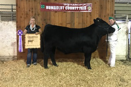 18 Humboldt Co Fair, Supreme Grand Champion Steer, Shown by Alexa Alto Test