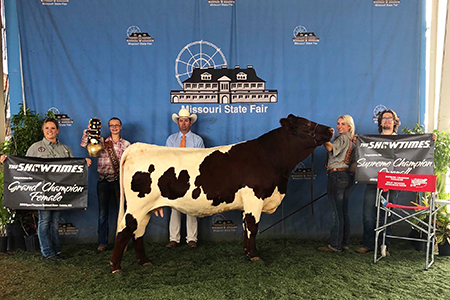 18 National Open Pinzgauer Show, Supreme Champion Pinzgauer, National Champion Female, Shown by Shelby Ferguson Test