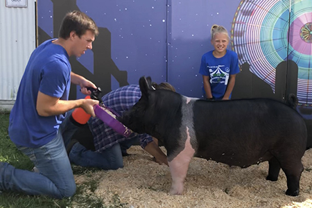 18 Walworth Co. Fair, Grand Champion, Shown by Addy Popp Test